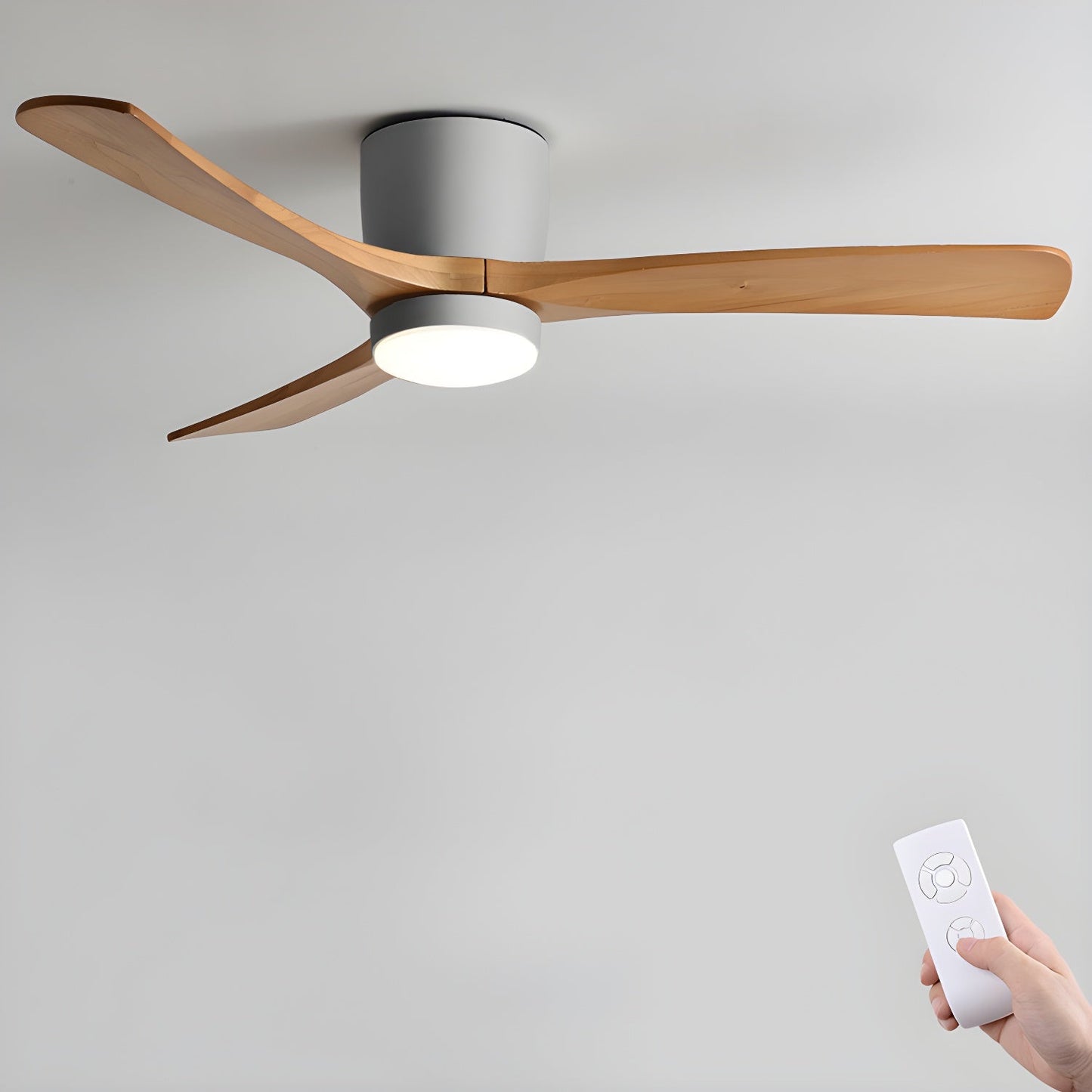 Arden Ceiling Fan Light
