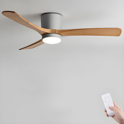 Arden Ceiling Fan Light