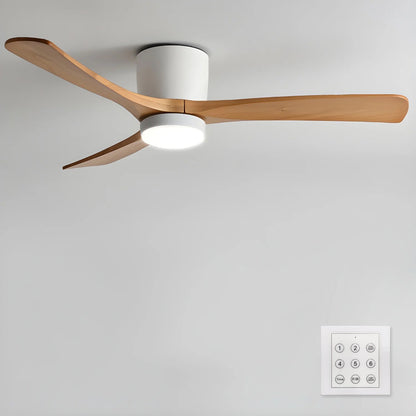 Arden Ceiling Fan Light
