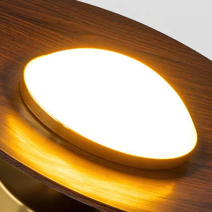 Velora Disc Ceiling Light
