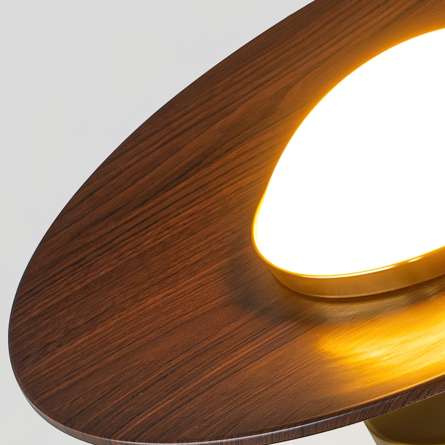 Velora Disc Ceiling Light