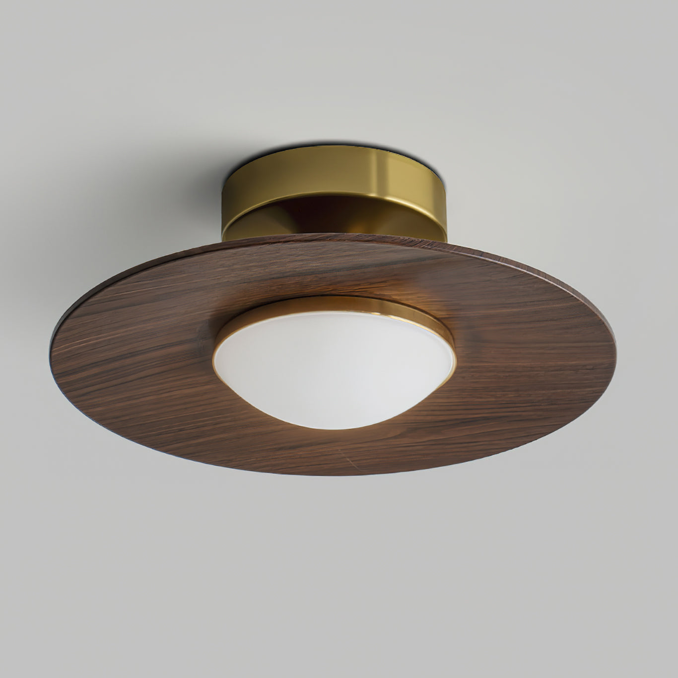 Velora Disc Ceiling Light