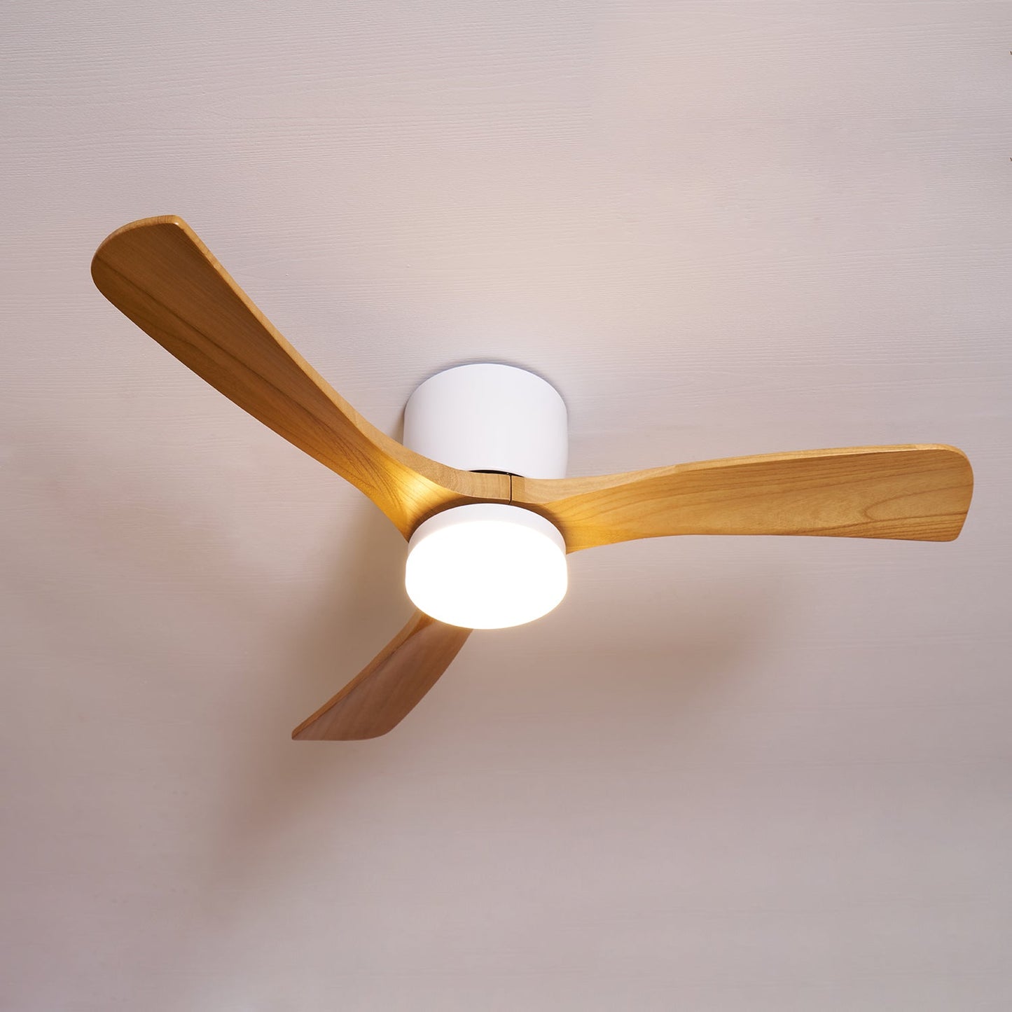 Arden Ceiling Fan Light