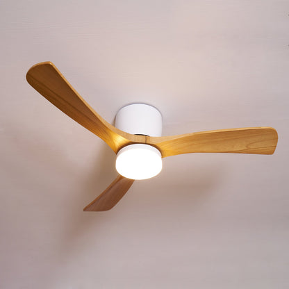 Arden Ceiling Fan Light