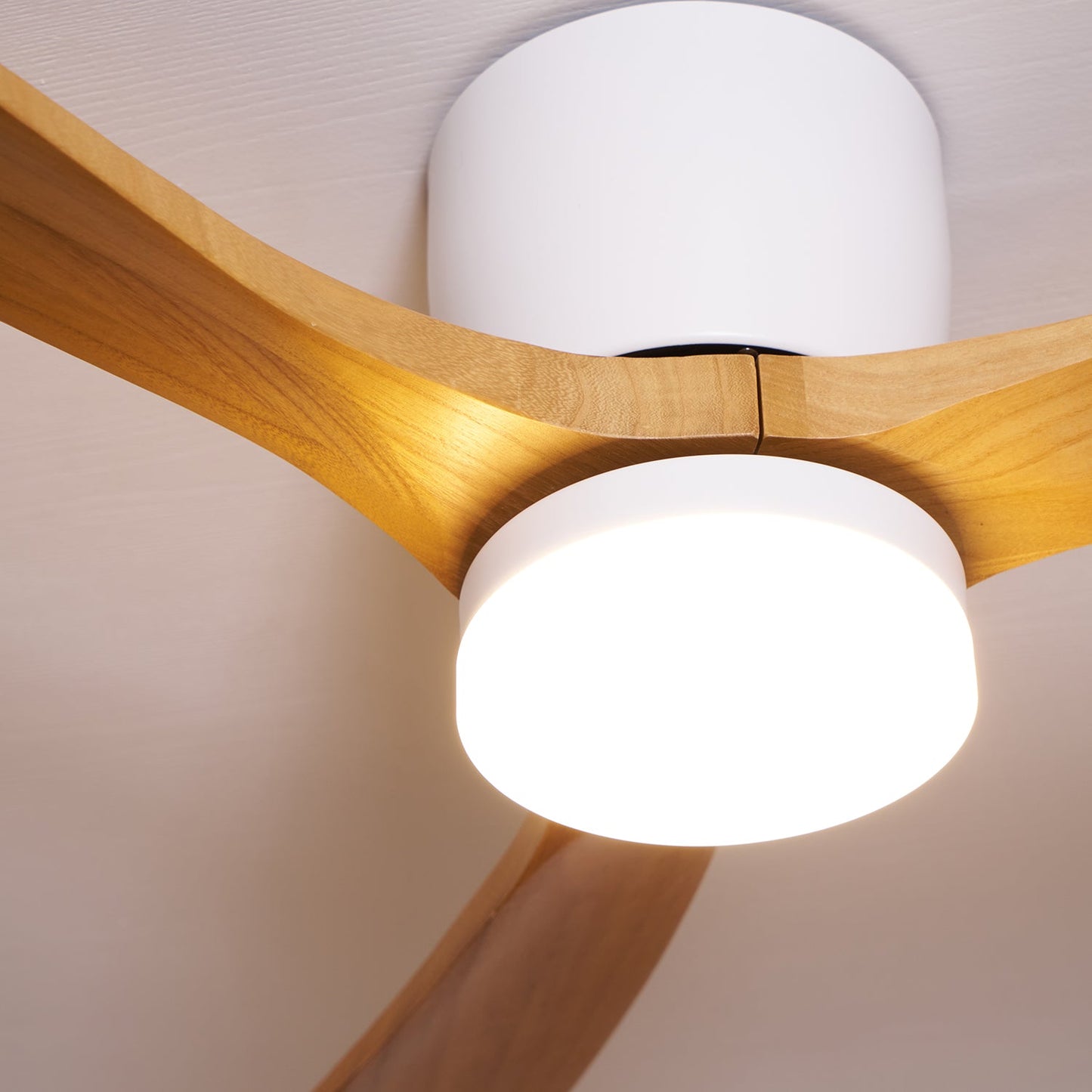 Arden Ceiling Fan Light