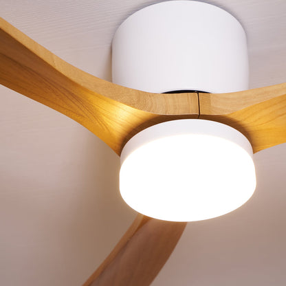 Arden Ceiling Fan Light