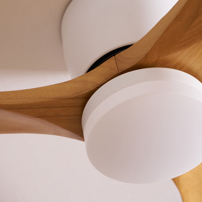 Arden Ceiling Fan Light