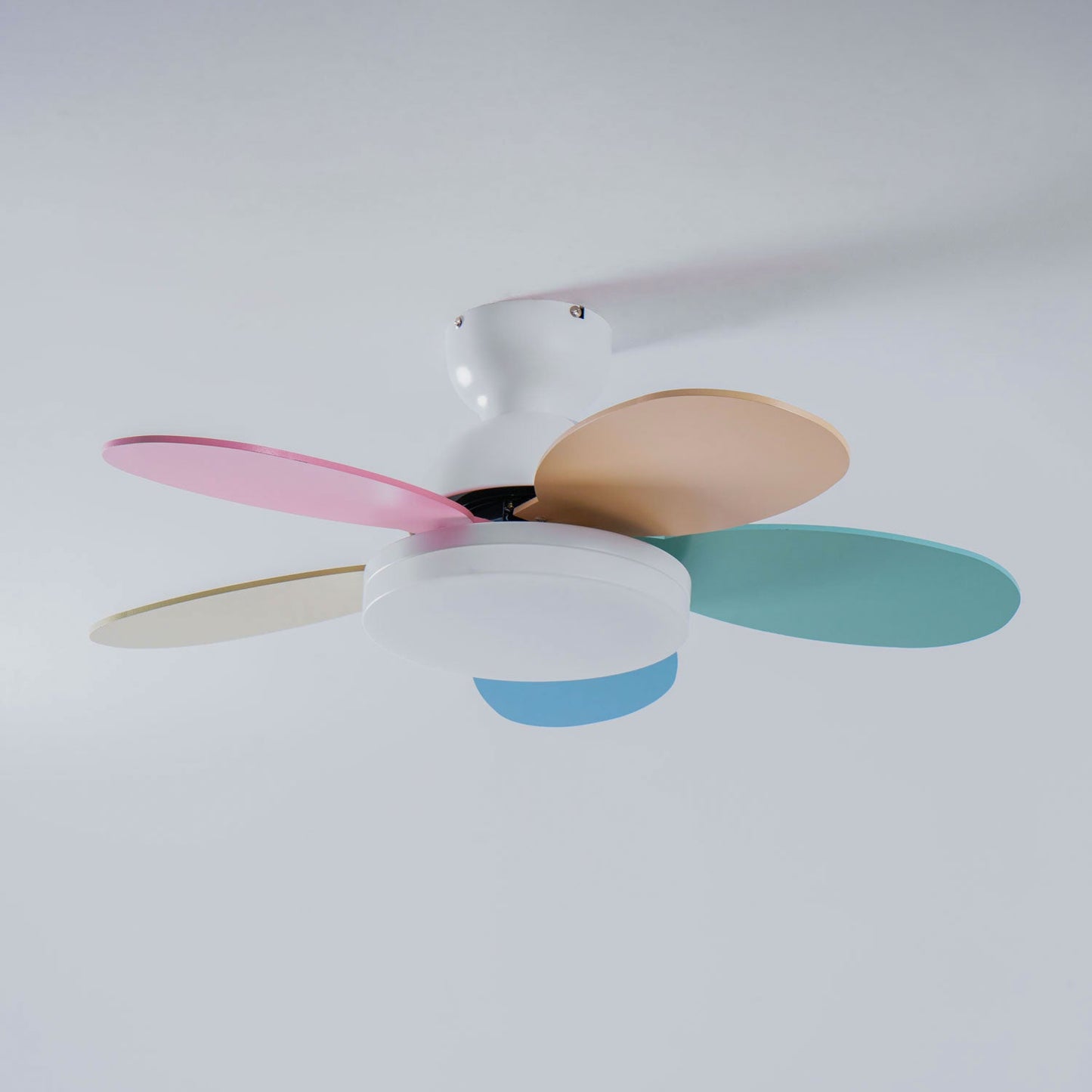 Floren Ceiling Fan Light
