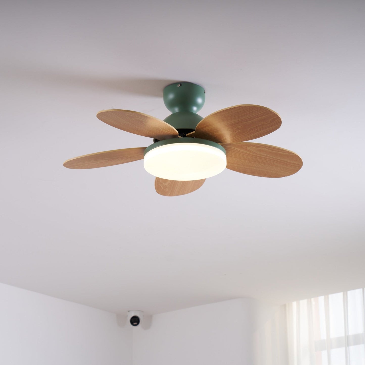 Floren Ceiling Fan Light