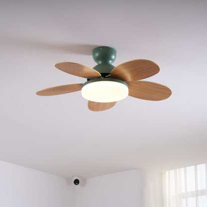 Floren Ceiling Fan Light