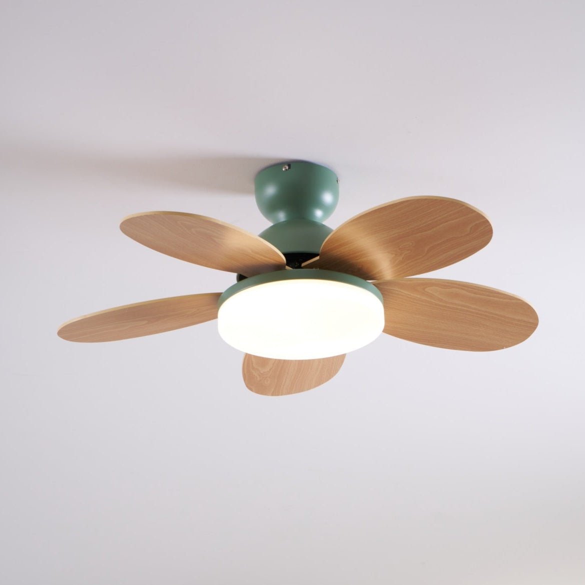 Floren Ceiling Fan Light