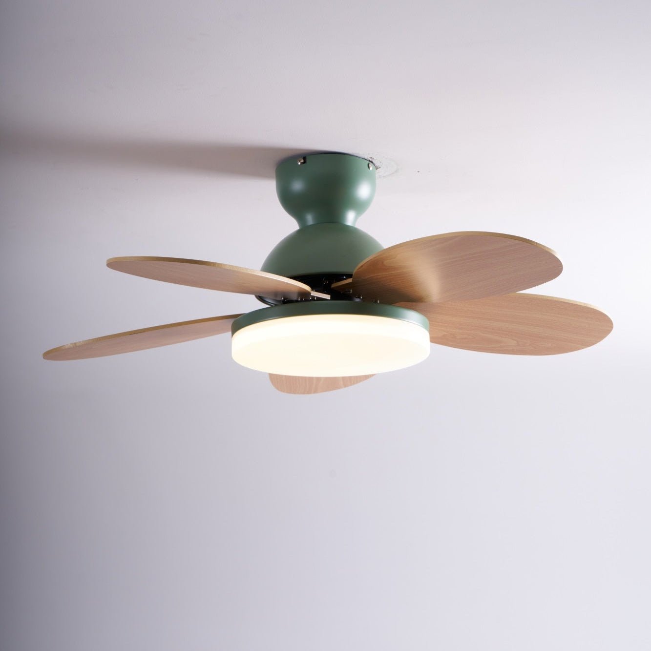Floren Ceiling Fan Light