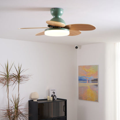 Floren Ceiling Fan Light