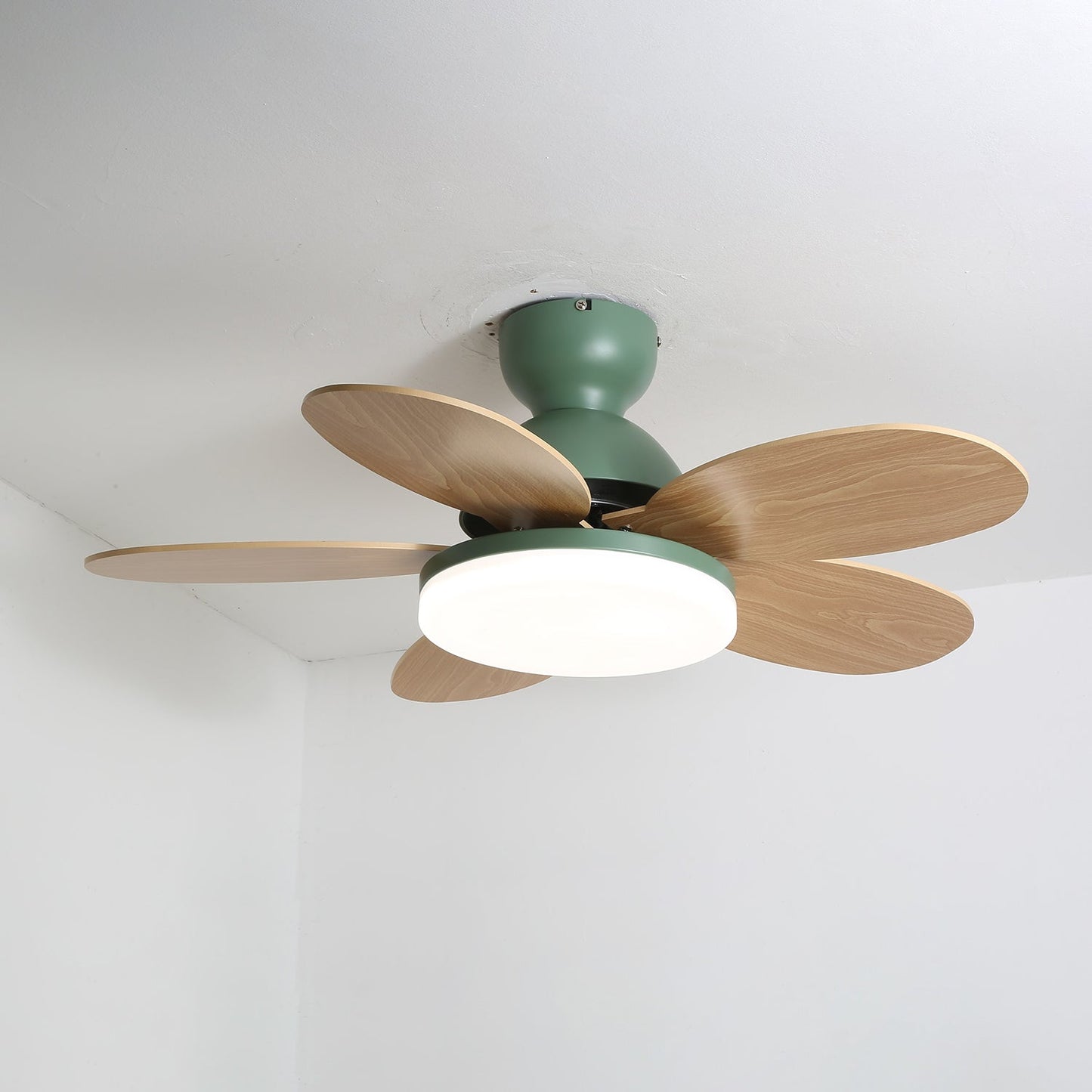 Floren Ceiling Fan Light