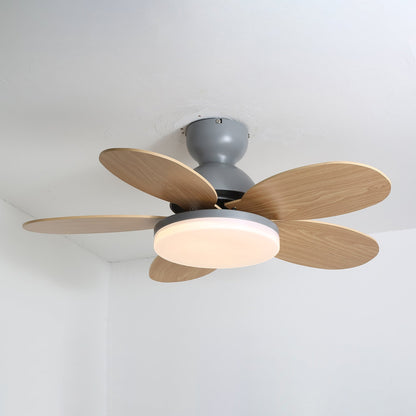 Floren Ceiling Fan Light