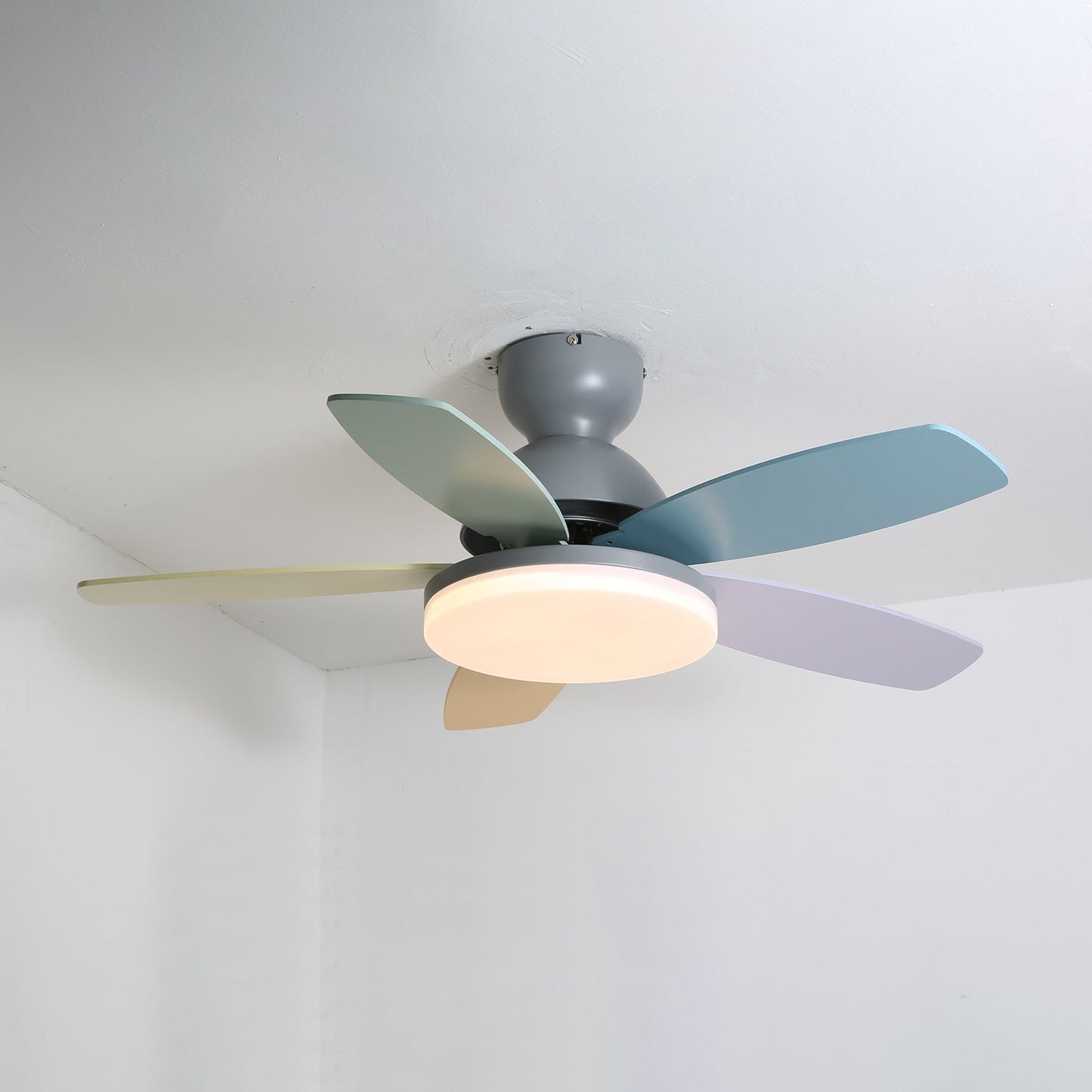 Floren Ceiling Fan Light