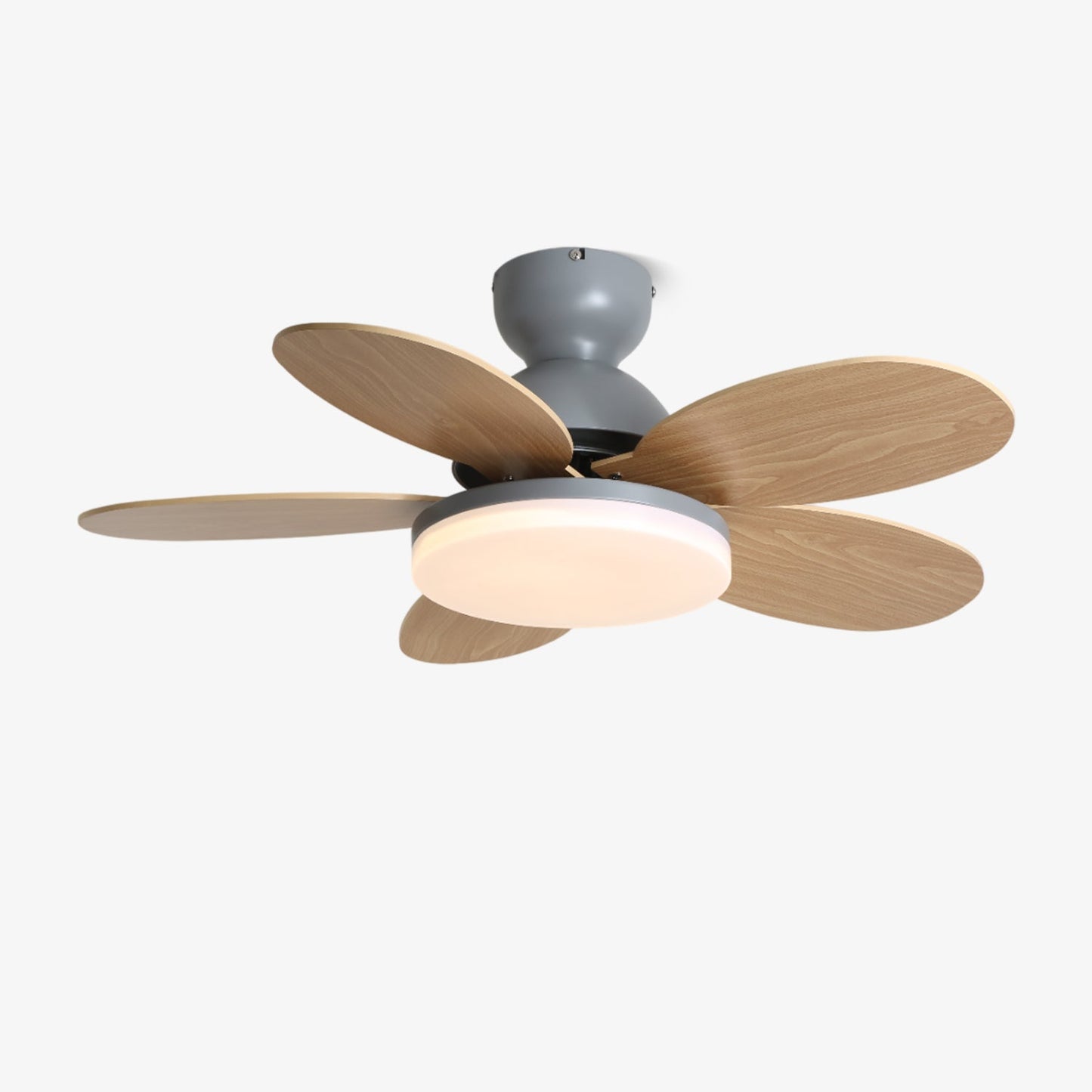 Floren Ceiling Fan Light