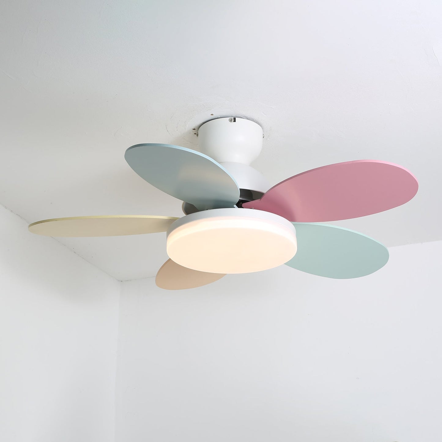 Floren Ceiling Fan Light
