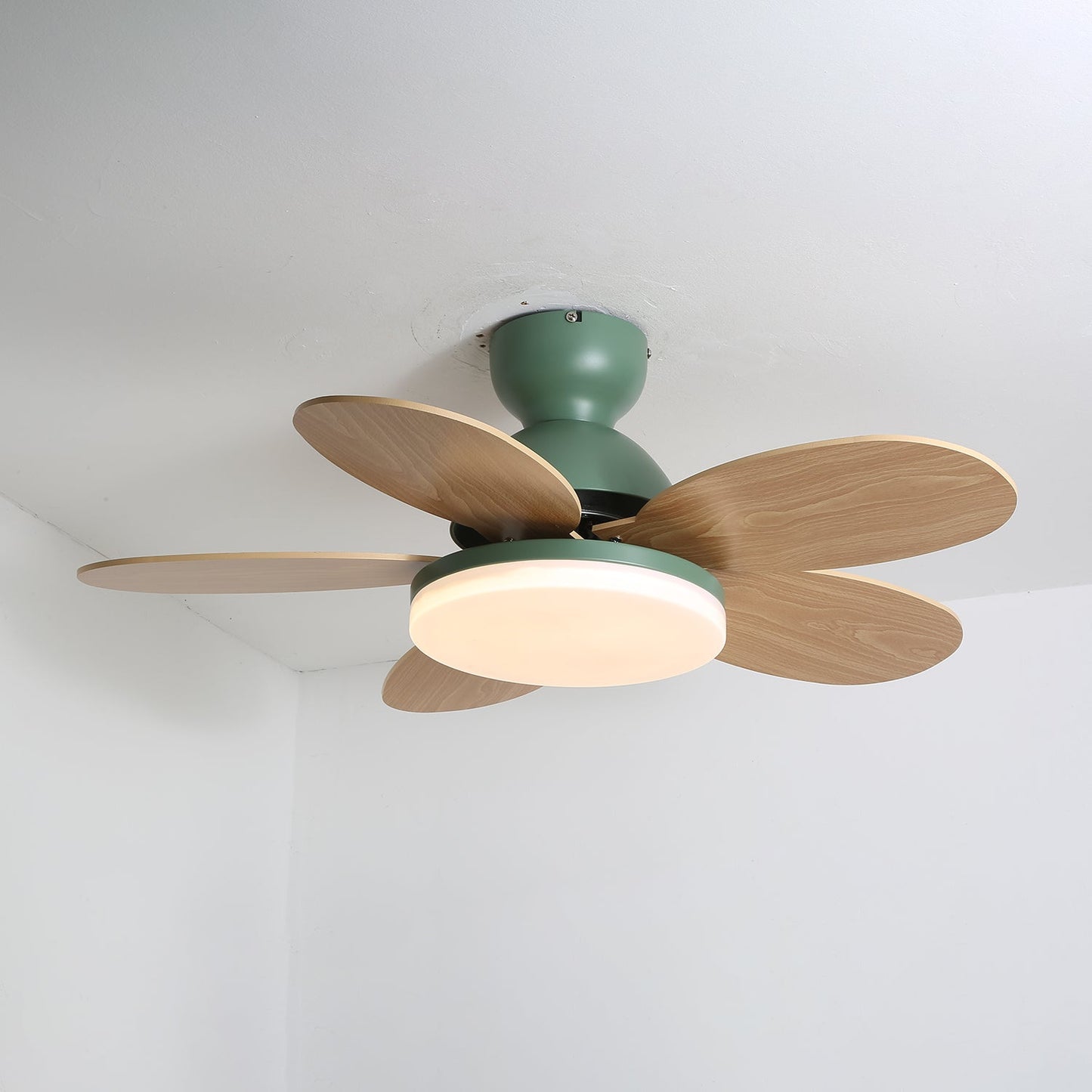 Floren Ceiling Fan Light
