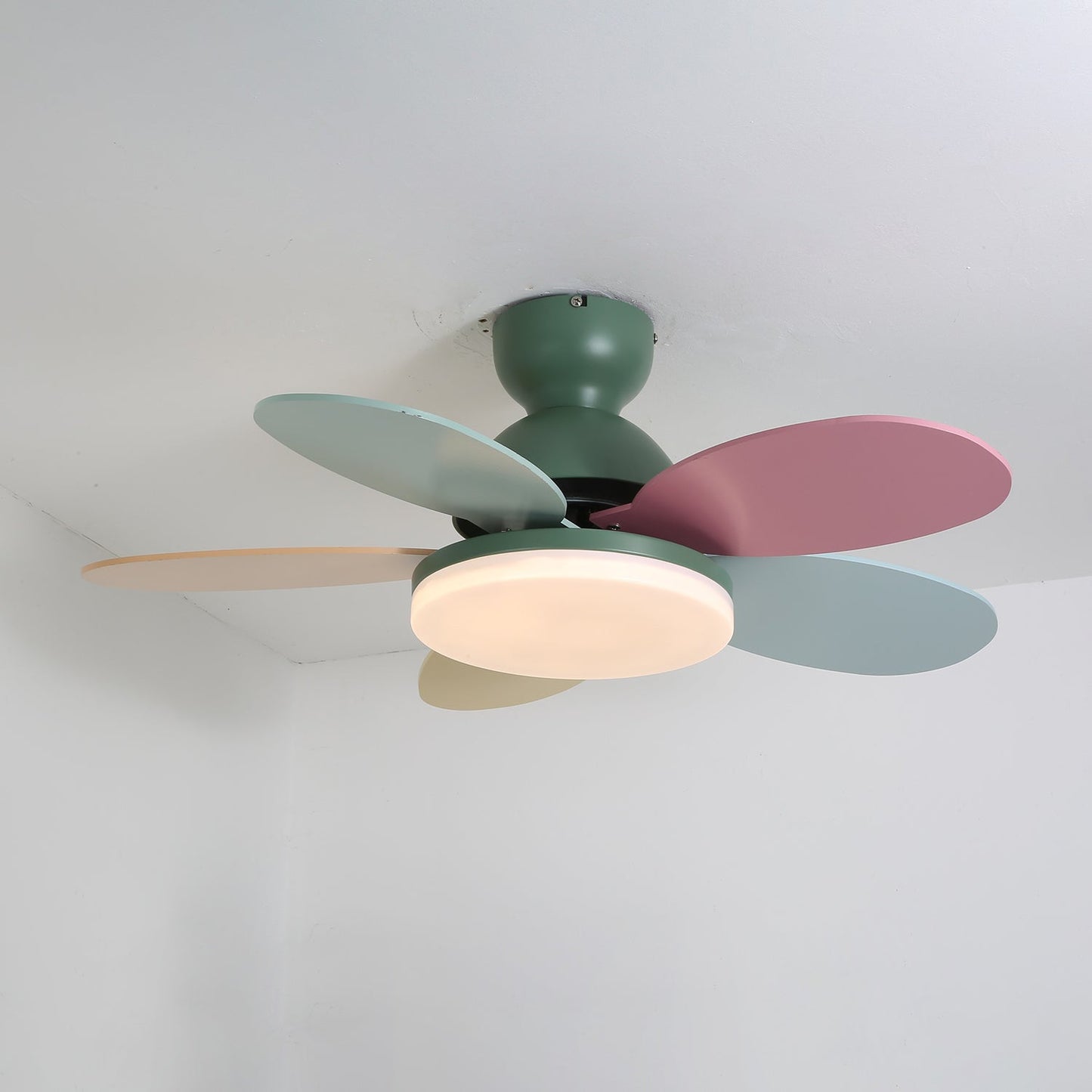 Floren Ceiling Fan Light