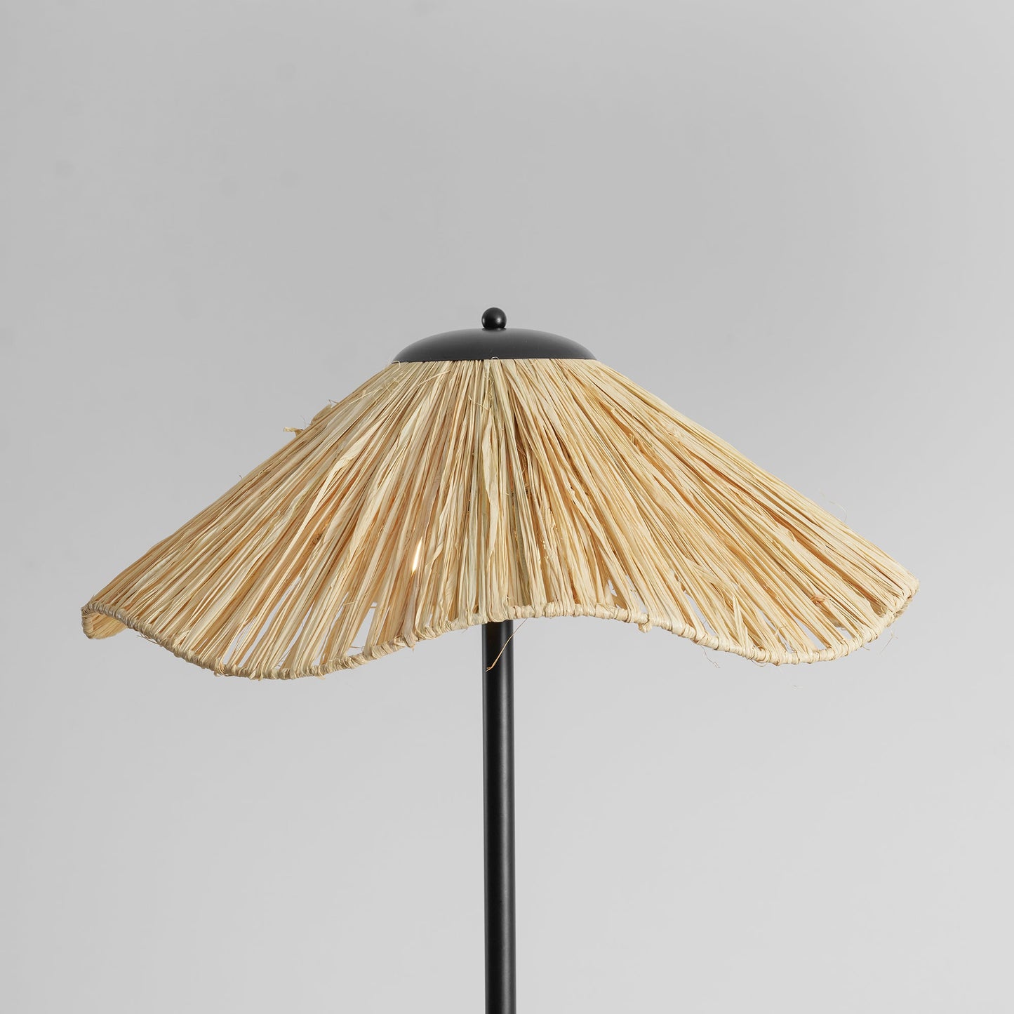 Colette Raffia Floor Lamp