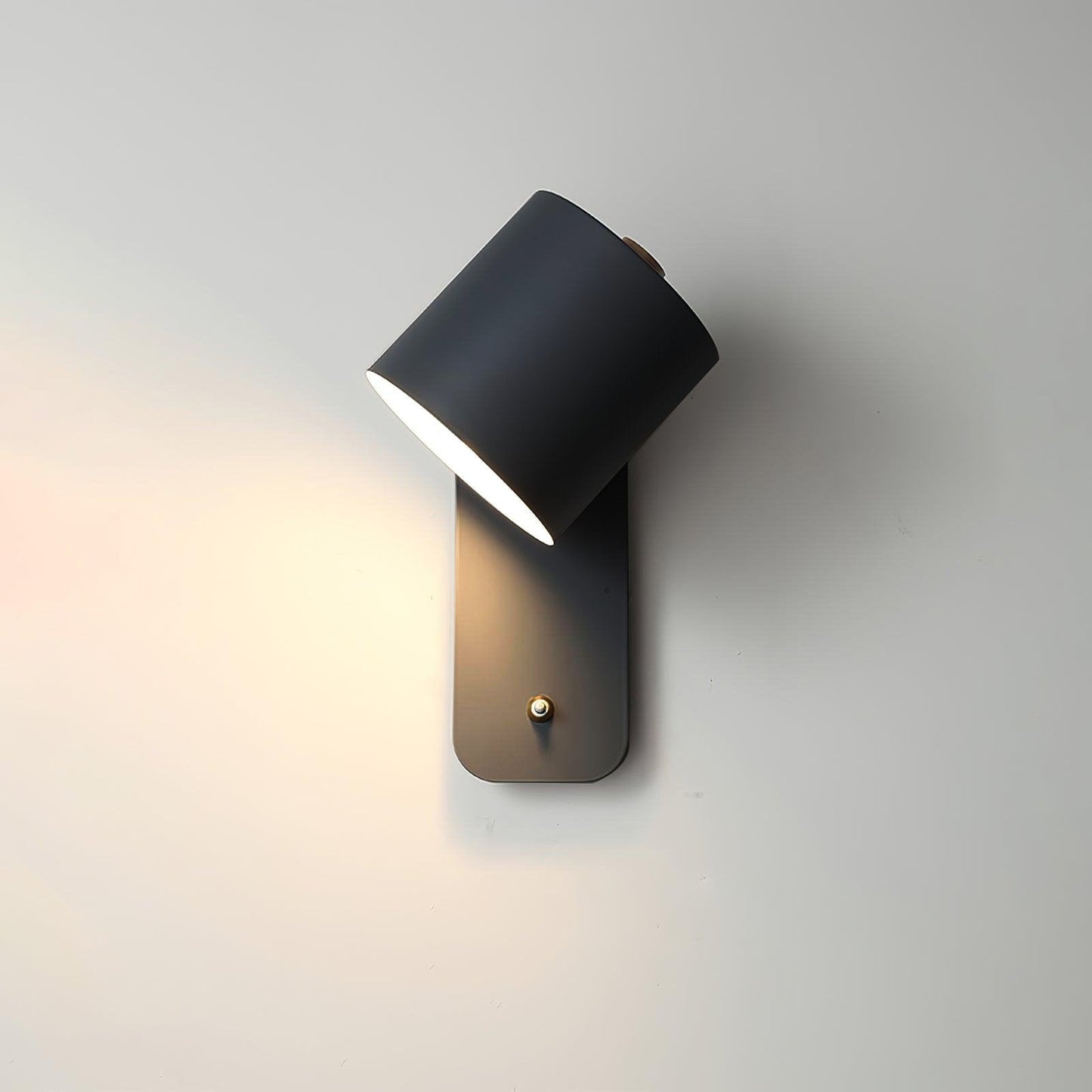 Virex Rotatable Wall Light