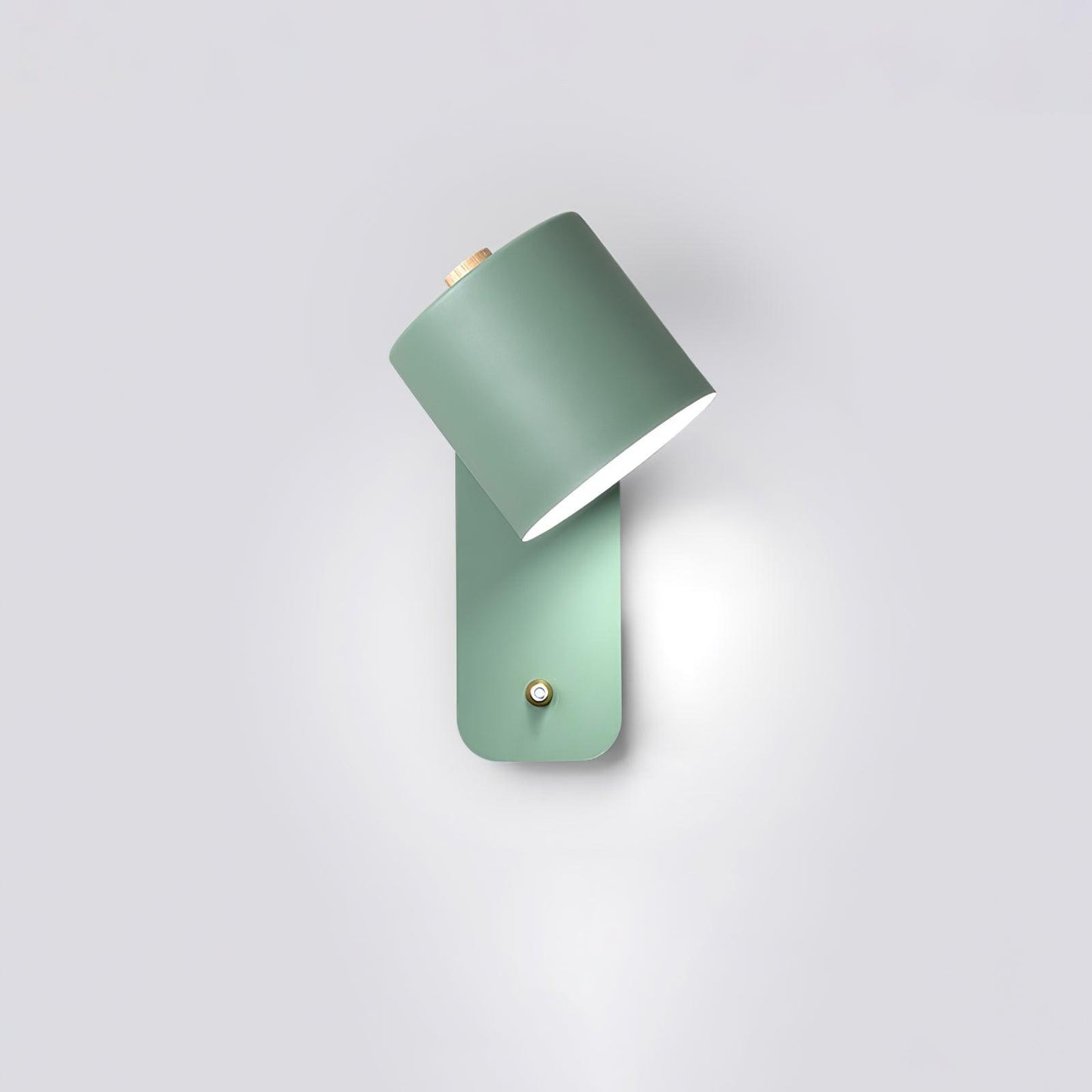 Virex Rotatable Wall Light