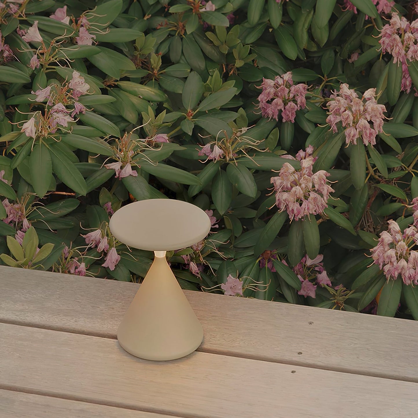 Velune Cordless Table Lamp