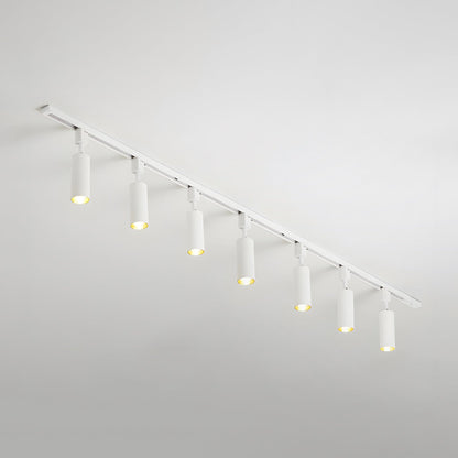 Aero Ceiling Track Light