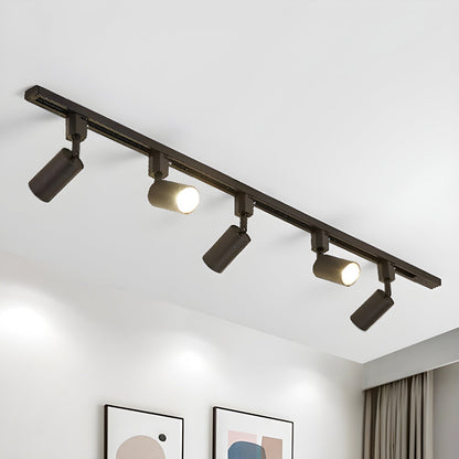 Aero Ceiling Track Light