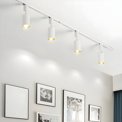 Aero Ceiling Track Light