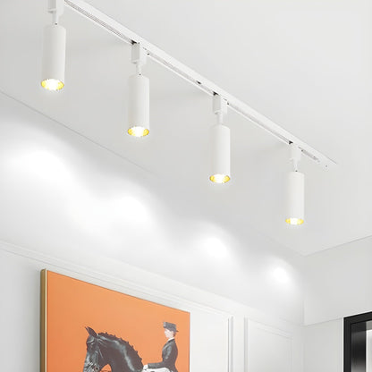 Aero Ceiling Track Light