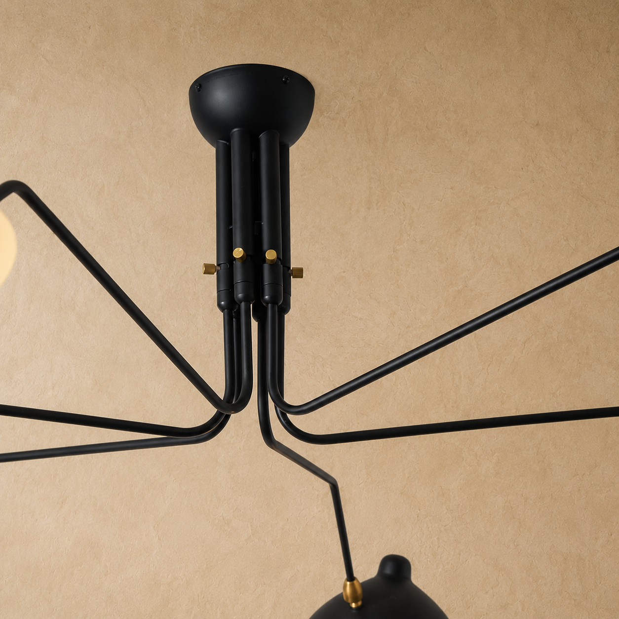 Velora Multi Arm Ceiling Light