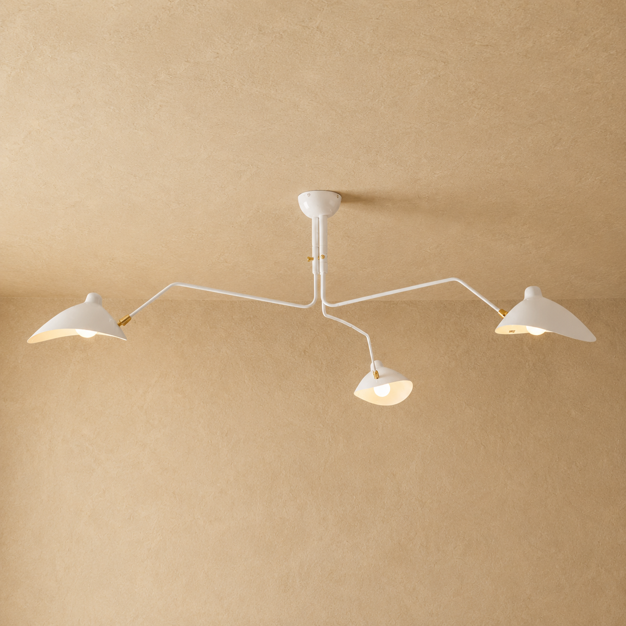 Velora Multi Arm Ceiling Light