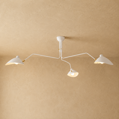 Velora Multi Arm Ceiling Light