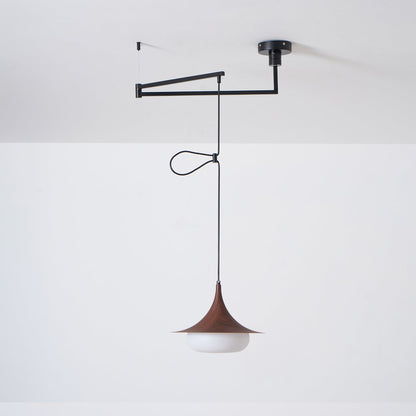 Averelle Swing Arm Pendant Light